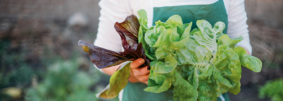 sustainability-banner